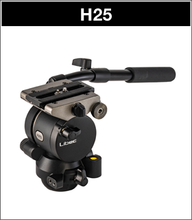 H25